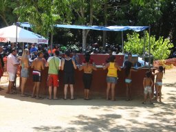 XVII Concentracion - 2010